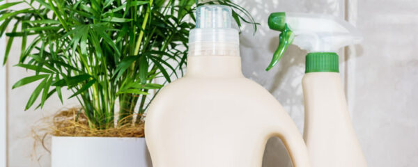 produits d'entretien écologiques