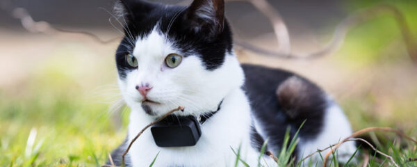 gps chat