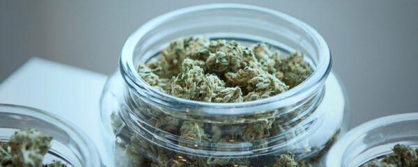 fleurs de CBD